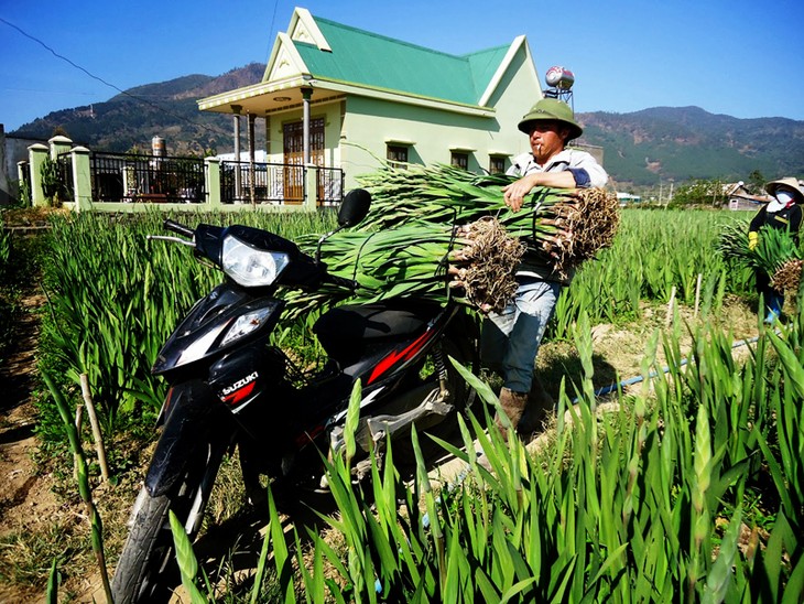 Maximiza Vietnam potencialidades para desarrollo socioeconómico - ảnh 3