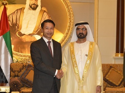 Emiratos Árabes Unidos por intensificar cooperación con Vietnam - ảnh 1