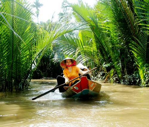 Vietnam promueve inversión y comercio agrícolas en Delta del río Mekong - ảnh 1
