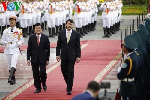 Vietnam y Hungría enaltecen legados diplomáticos - ảnh 2