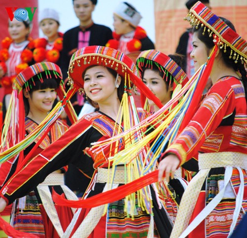Preservadores de la corriente cultural de minorías étnicas de Vietnam - ảnh 2