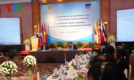 Inician Mesa Redonda de los jueces de ASEAN sobre Medio Ambiente   - ảnh 1