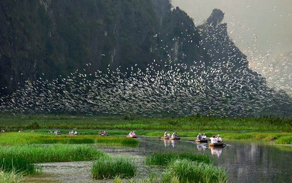 Van Long, área ecoturística con bellezas vírgenes - ảnh 2