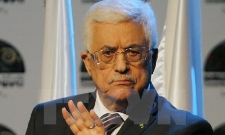 Presidente palestino firma adhesión a convenciones y organizaciones internacionales  - ảnh 1