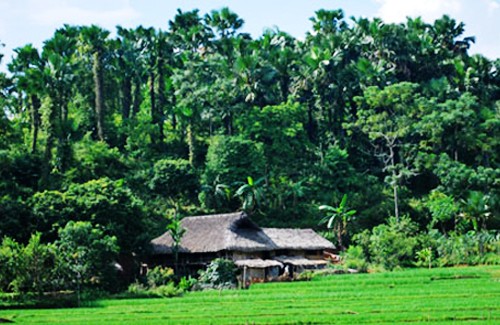 Típica residencia de los Tay en Ha Giang - ảnh 1
