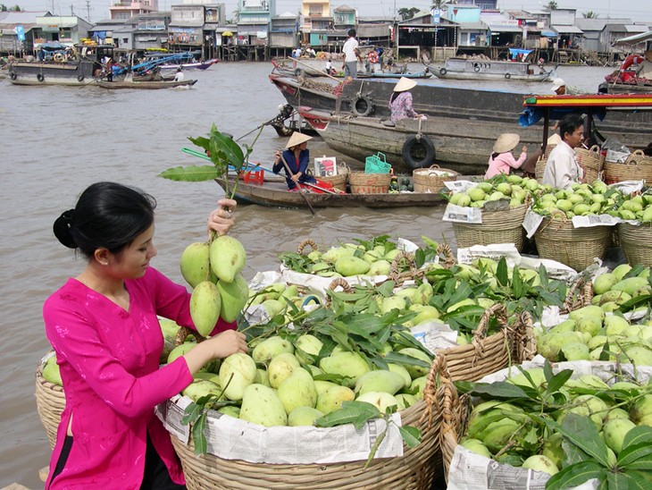Construyen marcas de frutas exportables en Delta de Río Mekong - ảnh 2