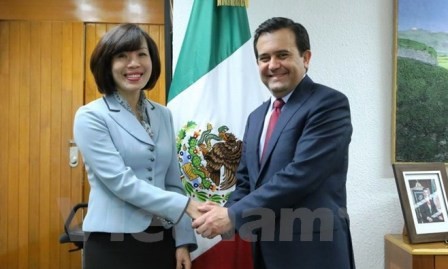 México y Vietnam establecerán comisión de cooperación  - ảnh 1