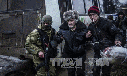 Pide Comisión Europea tregua en el este de Ucrania para evacuar civiles  - ảnh 1