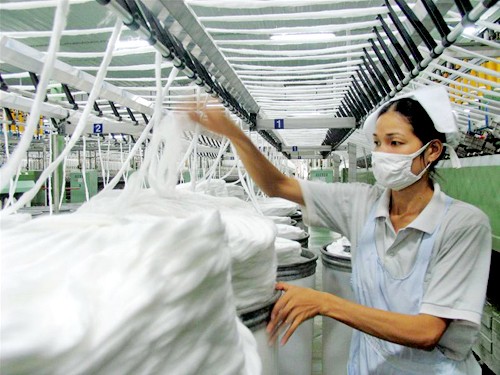 Expectativas del sector textil de Vietnam en 2015 - ảnh 1