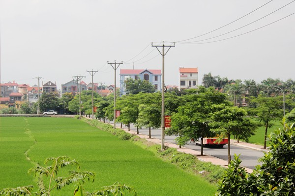 Hanoi lidera la construcción de nuevo campo - ảnh 1