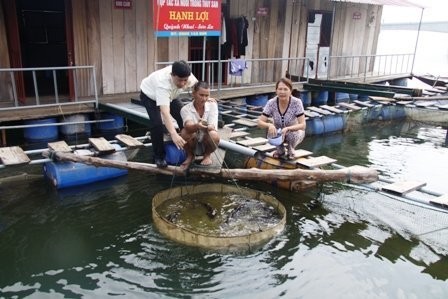 Temporada de pesca de camarones en el río Da  - ảnh 3