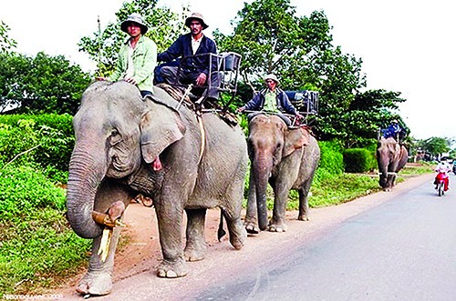 Impresionante destino turístico en Dak Lak - ảnh 2