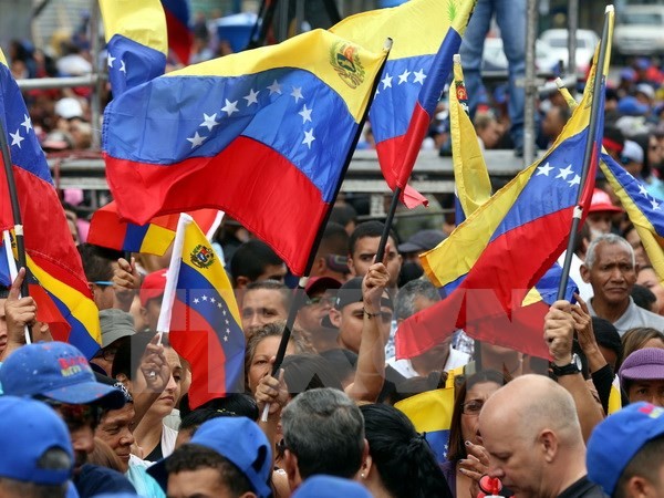 Opuestos Países no Alineados a sanciones contra Venezuela - ảnh 1