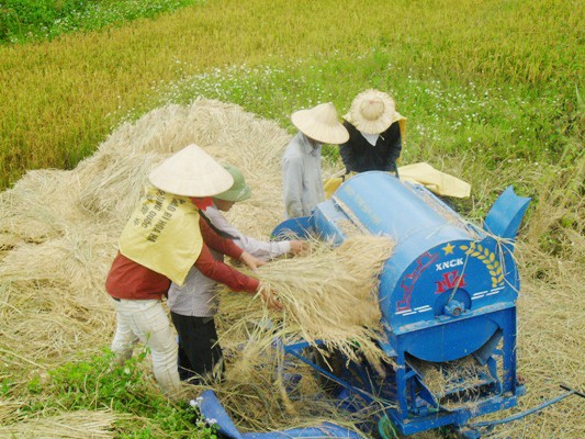 Jóvenes de Lai Chau unen sus manos para modernizar la ruralidad  - ảnh 1
