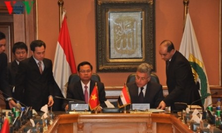  Inspector general vietnamita se entrevista con premier egipcio - ảnh 1