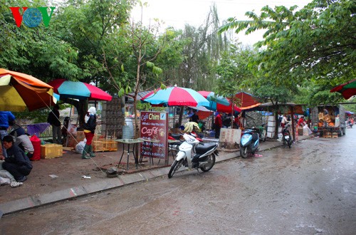 Mercado de aves ornamentales Phuc Yen - ảnh 1