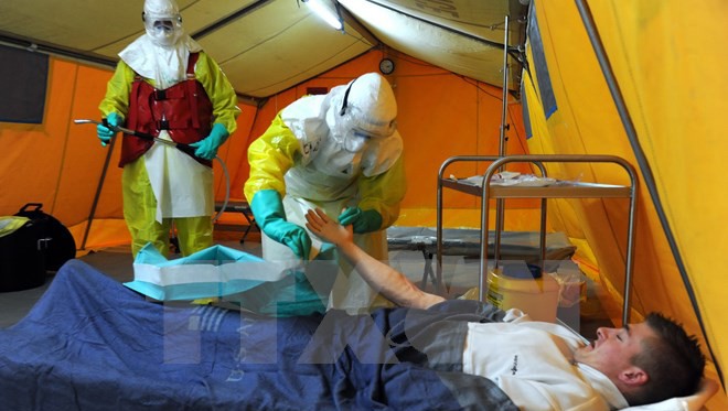 Un enfermero da positivo por ébola en Italia - ảnh 1