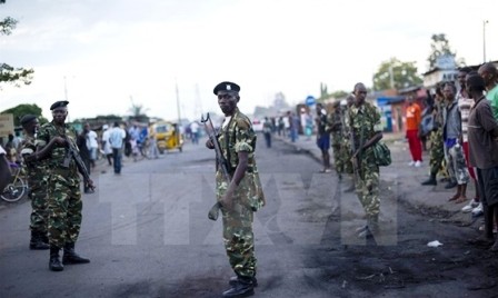 ONU pide una solución pacífica a la crisis de Burundi - ảnh 1