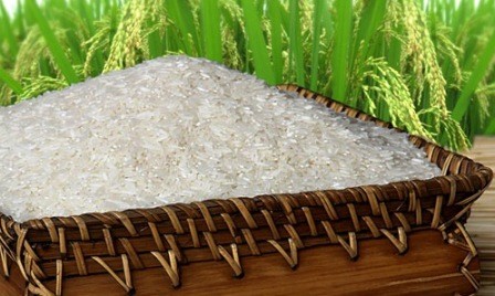 Planean convertir el arroz vietnamita en marca de primer orden del mundo  - ảnh 1