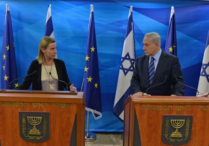 Propone primer ministro israelí reiniciar conversaciones de paz con Palestina - ảnh 1