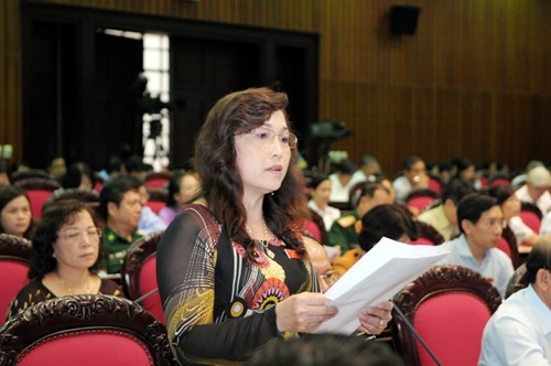 Aborda Parlamento vietnamita proyecto de Ley Orgánica de Gobiernos Locales - ảnh 1