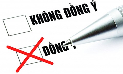 Proyectada ley de referendo en Vietnam persigue enaltecer derechos ciudadanos - ảnh 1