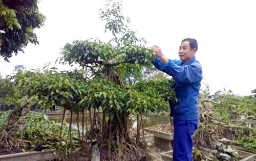 Khanh Thien – primera que cumple con los estándares del nuevo campo de Ninh Binh  - ảnh 1