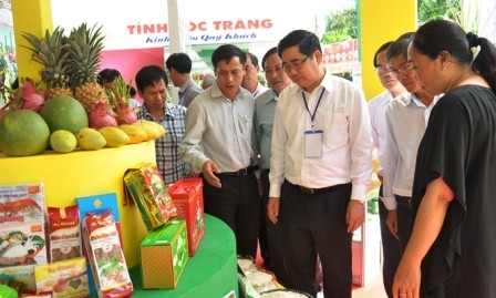 Evalúa producción agrícola en la primera mitad del año en Soc Trang  - ảnh 1