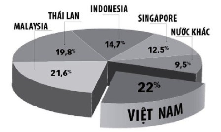 Estados Unidos será el mayor mercado para las exportaciones de Vietnam  - ảnh 1