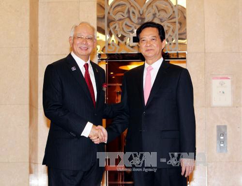 Alcanzan Vietnam y Malasia Declaración conjunta sobre marco de asociación estratégica - ảnh 1
