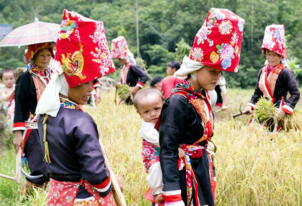 Fiesta de “Privación del viento” de los nativos de Binh Lieu - ảnh 1