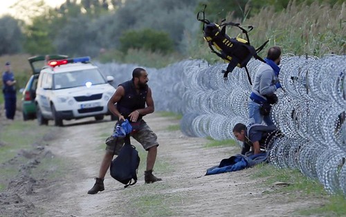 Se agrava crisis migratoria en Europa  - ảnh 2