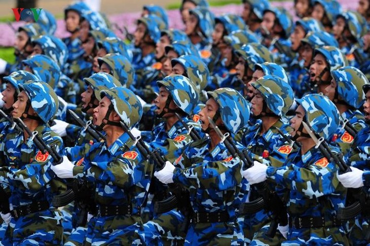Parada militar en día patria en Hanoi - ảnh 7