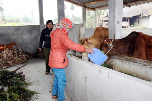 Meo Vac genera consenso popular para el desarrollo rural - ảnh 3