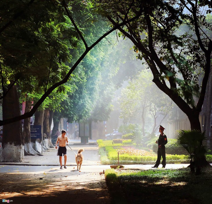 Romántica belleza de las calles hanoyenses en otoño  - ảnh 1