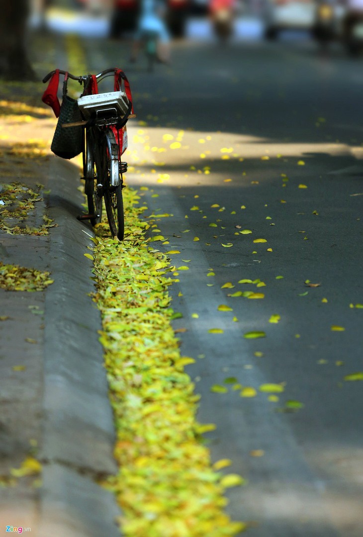 Romántica belleza de las calles hanoyenses en otoño  - ảnh 11