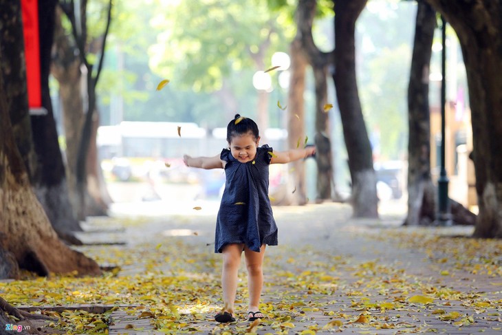 Romántica belleza de las calles hanoyenses en otoño  - ảnh 12