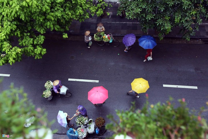 Romántica belleza de las calles hanoyenses en otoño  - ảnh 2