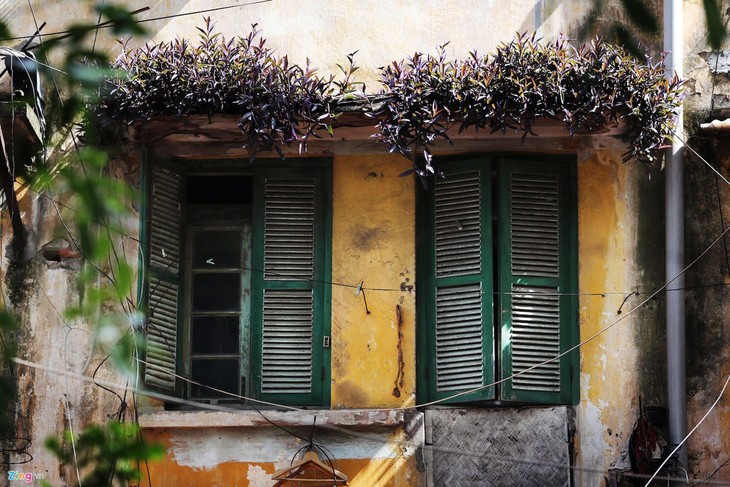 Romántica belleza de las calles hanoyenses en otoño  - ảnh 3