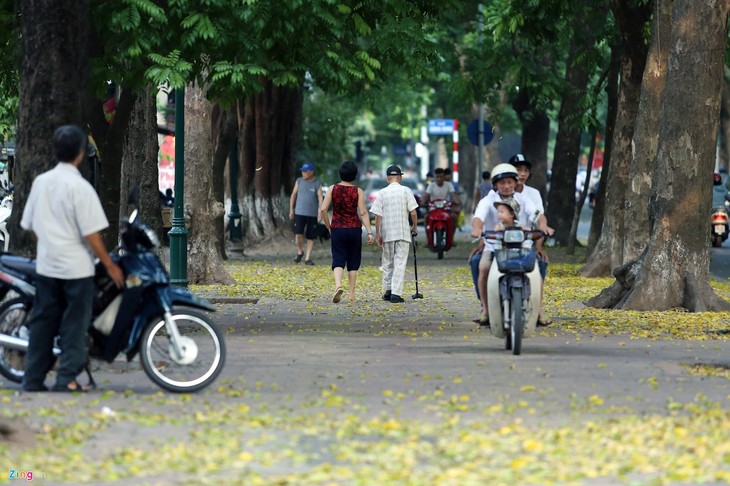Romántica belleza de las calles hanoyenses en otoño  - ảnh 8