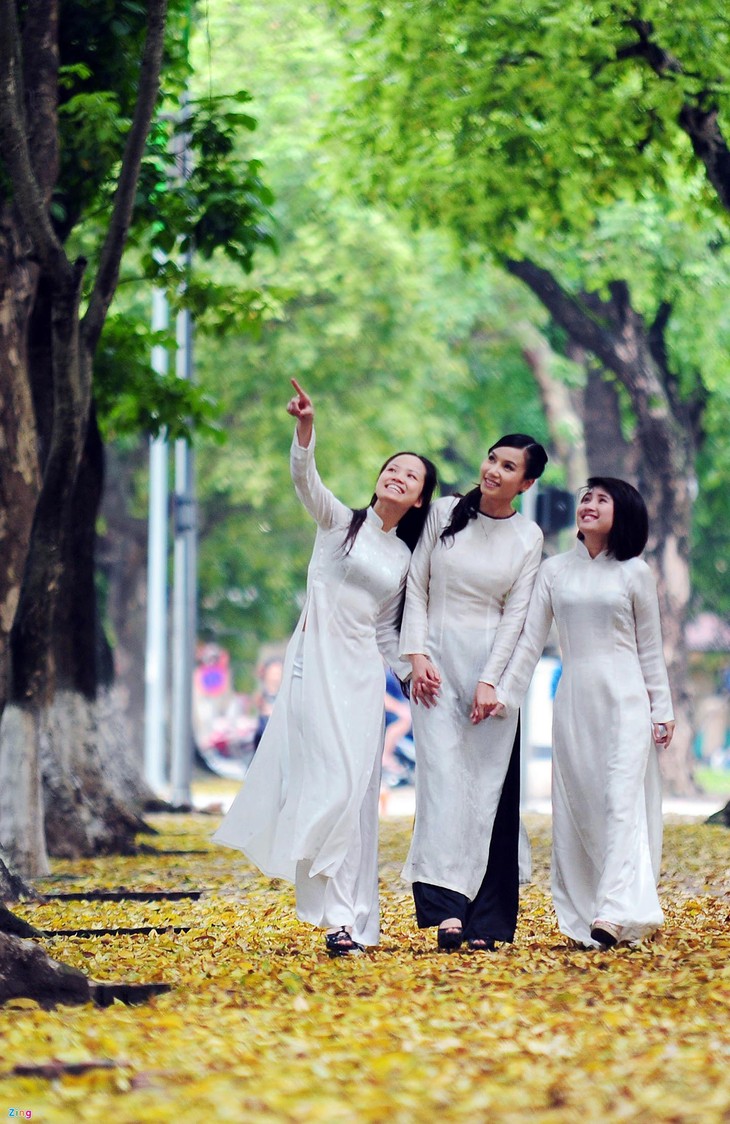 Romántica belleza de las calles hanoyenses en otoño  - ảnh 9