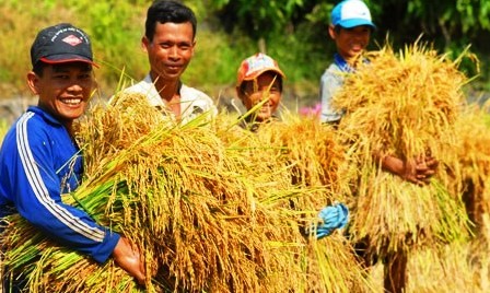 Agricultura de Vietnam garantiza la seguridad alimentaria, cambiando aspecto campestre  - ảnh 1