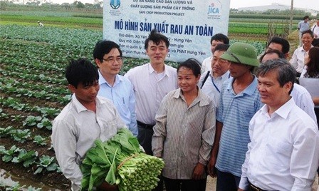 Agricultura de Vietnam garantiza la seguridad alimentaria, cambiando aspecto campestre  - ảnh 2