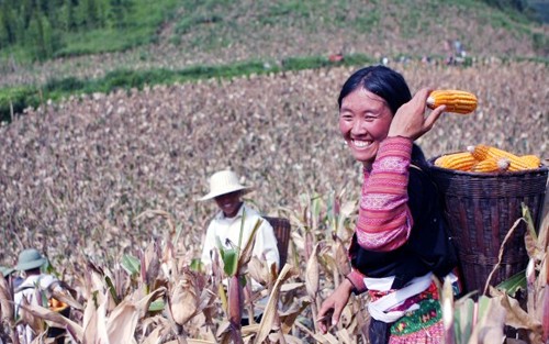 Vietnam sigue prestando aportes activos al cumplimiento de metas globales de desarrollo - ảnh 2