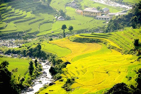 Inaugurada Semana de Cultura y Turismo de arrozales en terrazas de Hoang Su Phi  - ảnh 1