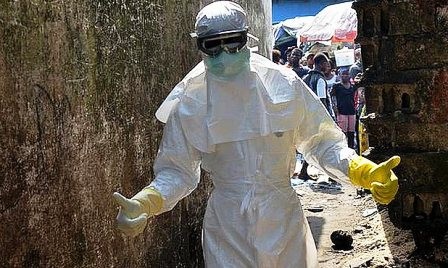OMS: No se detecta más casos del ébola en la última semana en África occidental - ảnh 1