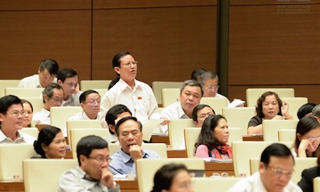 Diputados vietnamitas aportan opiniones a proyecto de reforma al Código Procesal Civil - ảnh 1