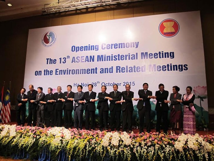 Por una ASEAN con desarrollo sostenible - ảnh 1