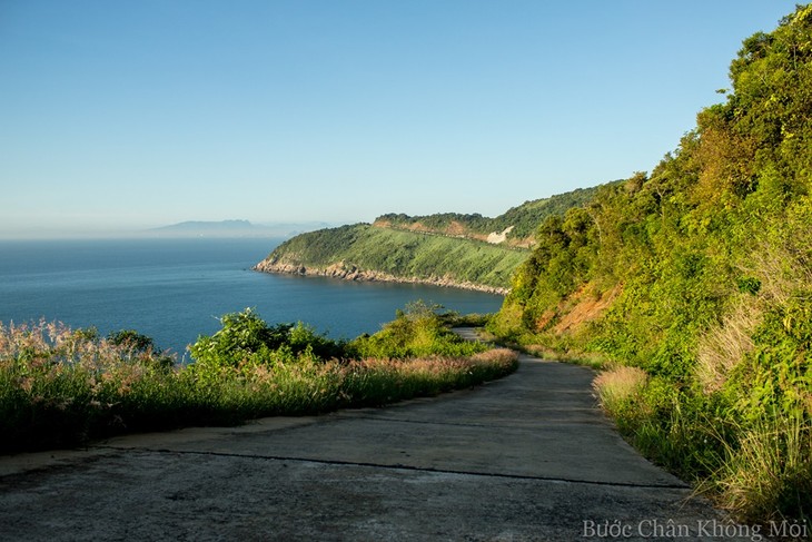 Panorama de Da Nang visto desde la península de Son Tra - ảnh 3