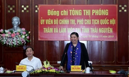 Vicepresidenta parlamentaria exhorta a promover los valores étnicos de Thai Nguyen - ảnh 1